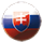 Slovenský jazyk